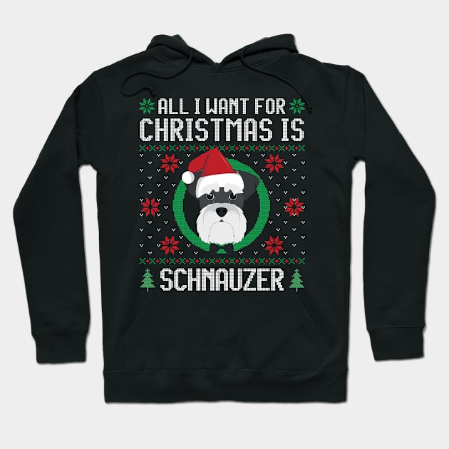 All I Want For Christmas Is Schnauzer Dog Funny Xmas Gift Hoodie by salemstore